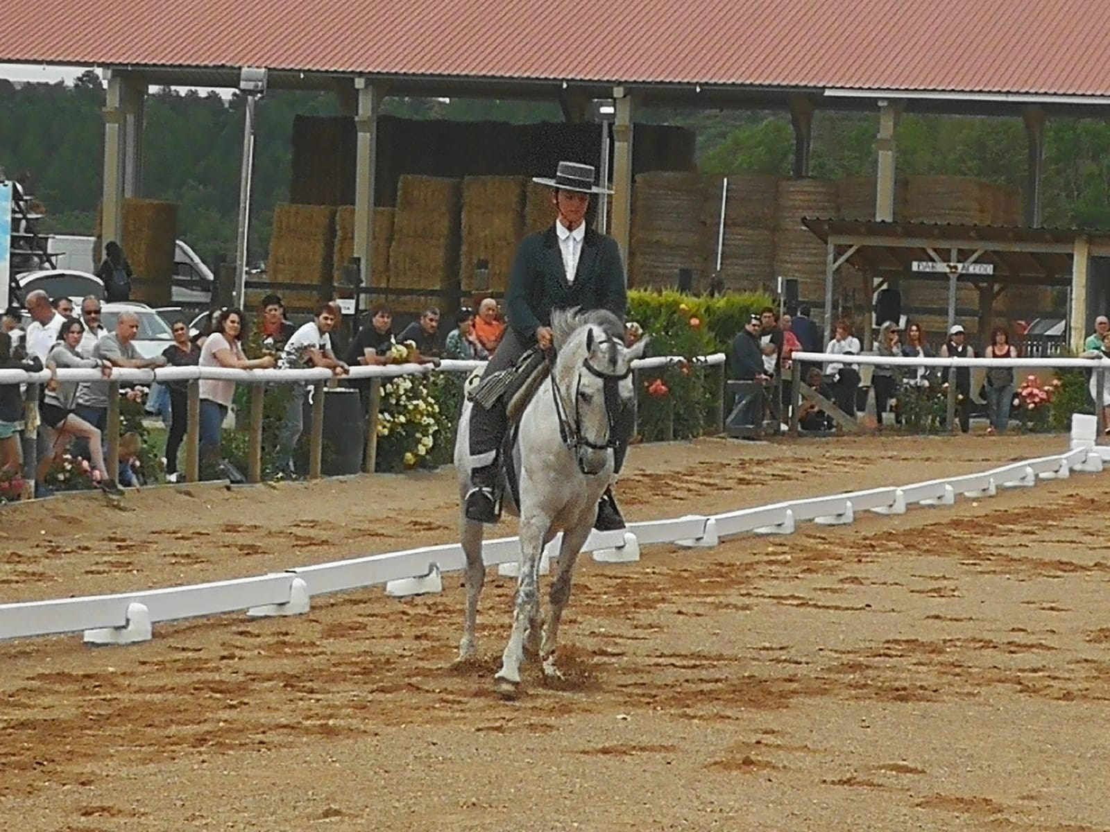 Final del Campeonato Navarro de Doma Vaquera 2018 en Acedo